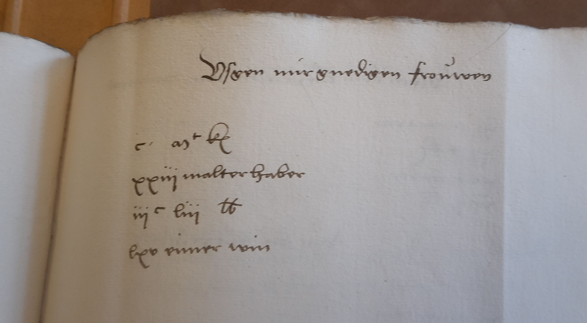 Katharinas jährliche Pension von 1524-1547 im Ausgabenbuch des Fraumünsteramtes (Stadtarchiv Zürich)
