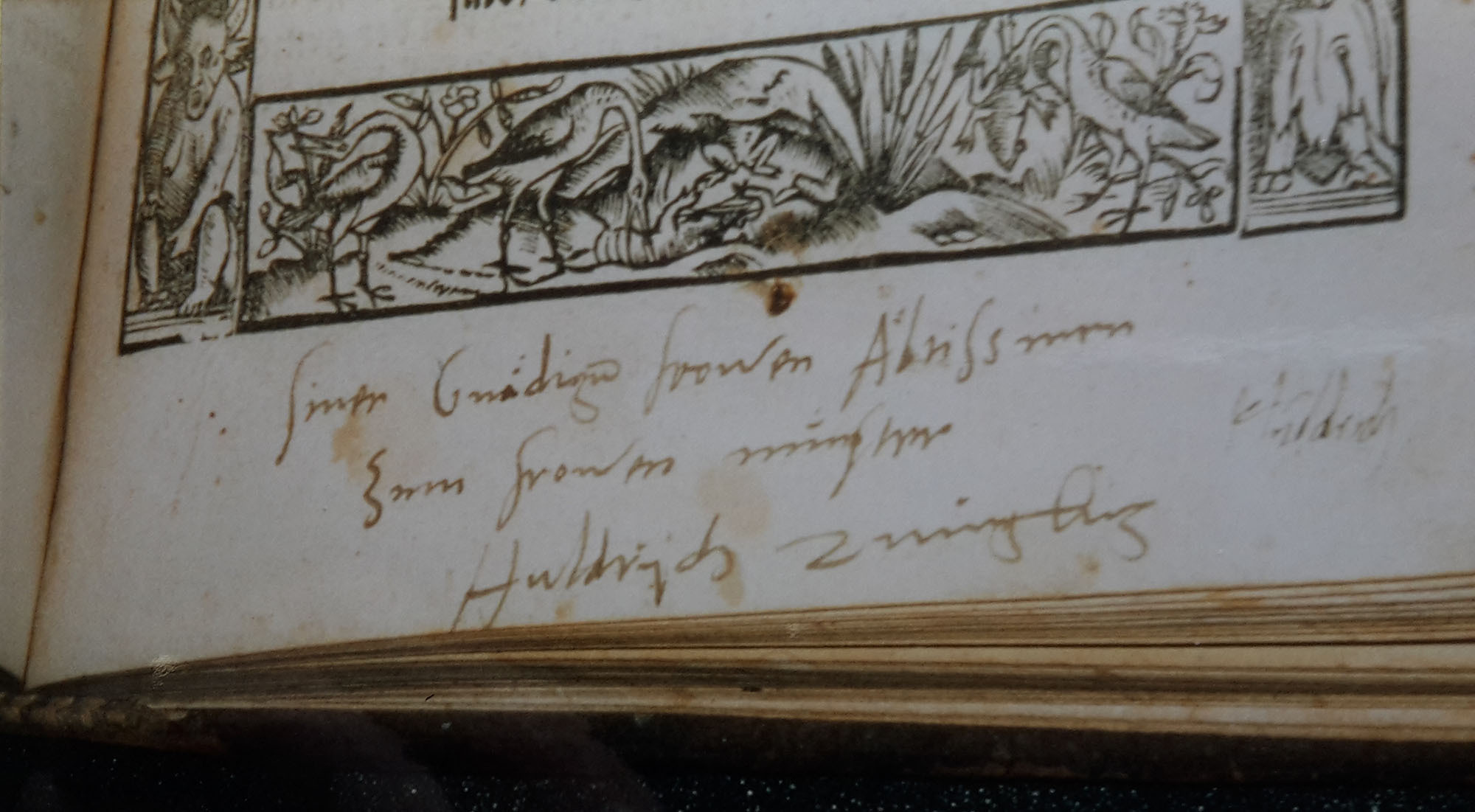 Widmung Ulrich Zwinglis unter seiner Schrift «Von göttlicher und menschlicher Gerechtigkeit» an Katharina von Zimmern